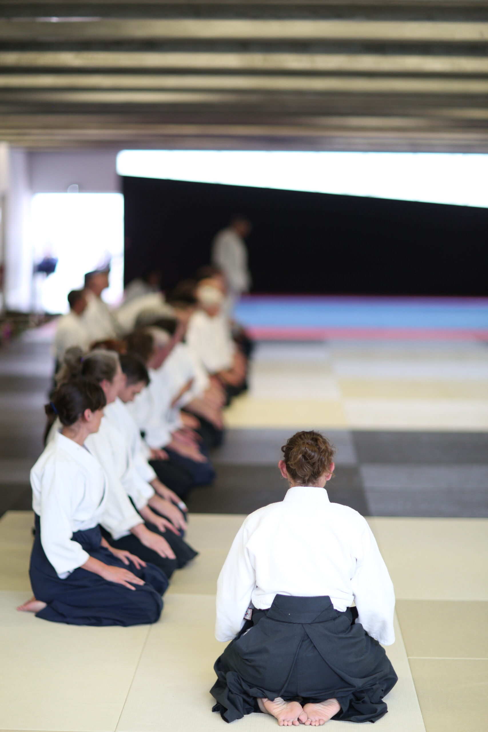 Pratiquants réunis pour le salut pendant un stage d’aïkido